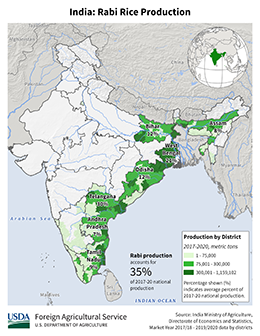 images\IN\seasonalmap\IND_Rabi_Rice_preview.png